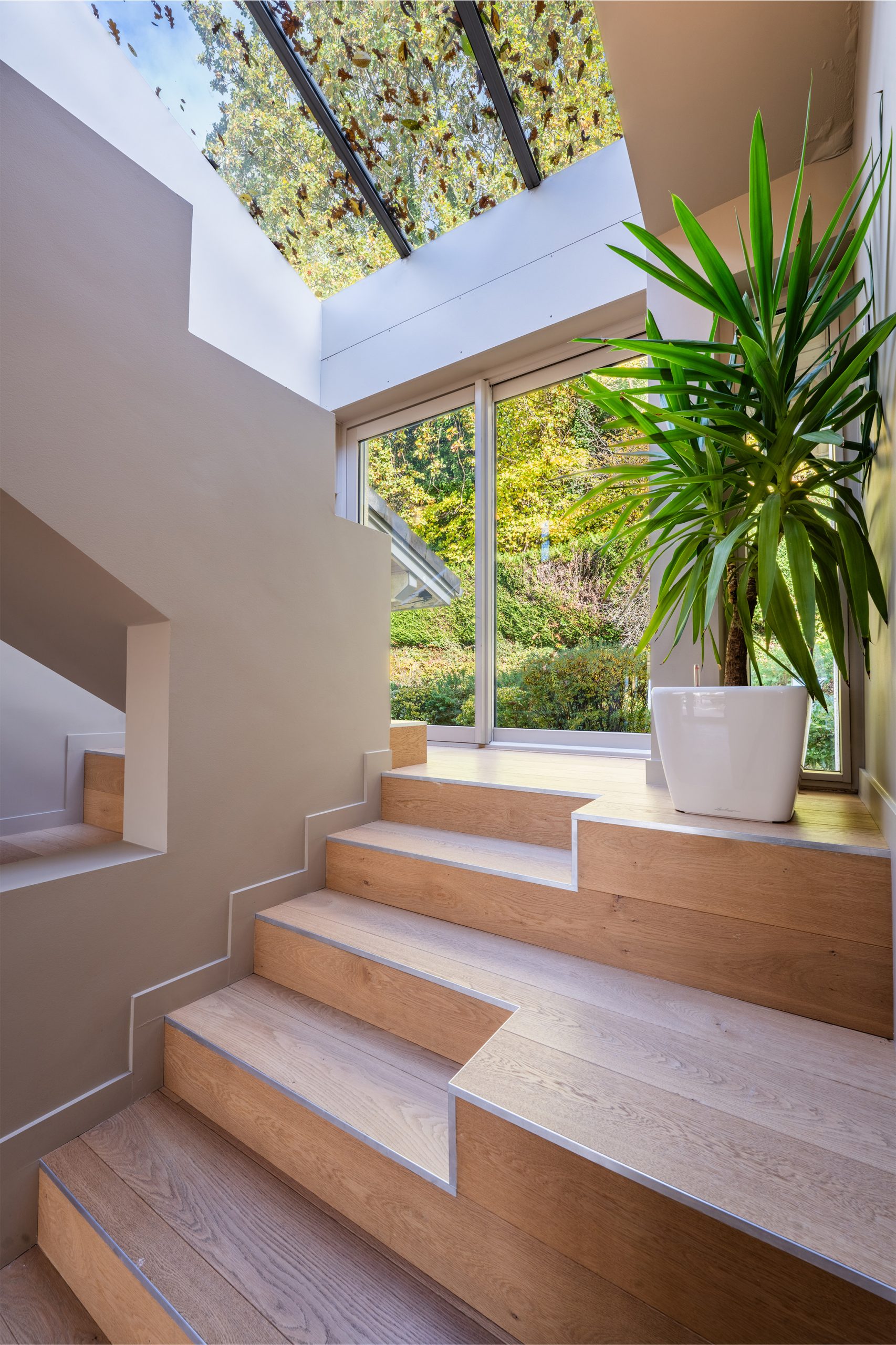 vetrazsiteimmo_0000_DSC05532-HDR